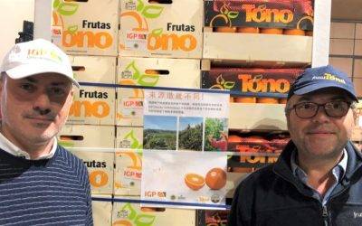 Las naranjas de IGP “Cítricos valencianos» por primera vez rumbo a China