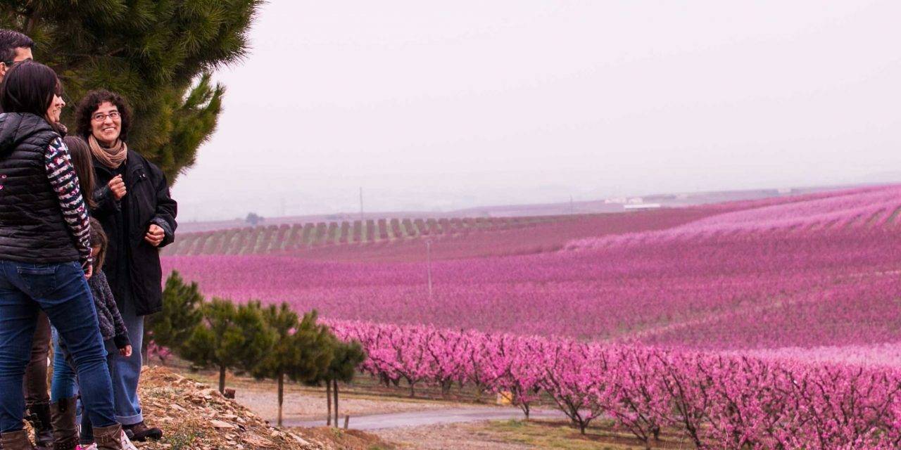 La primavera de Japón en Aitona, Lleida y Cieza, Murcia