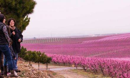 La primavera de Japón en Aitona, Lleida y Cieza, Murcia