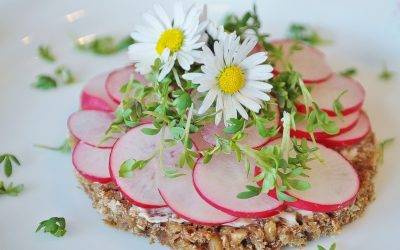 ¿Porqué un dia mundial sin carne?