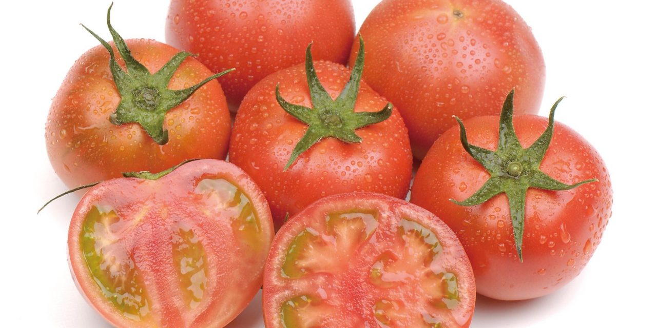 Los tomates Amela y Adora de la cooperativa La Palma en Smart Agrifood Summit