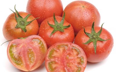 Los tomates Amela y Adora de la cooperativa La Palma en Smart Agrifood Summit