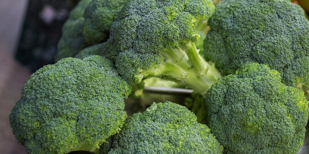 Brotes de brócoli y propiedades saludables