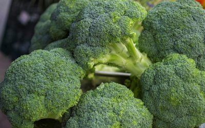 Brotes de brócoli y propiedades saludables