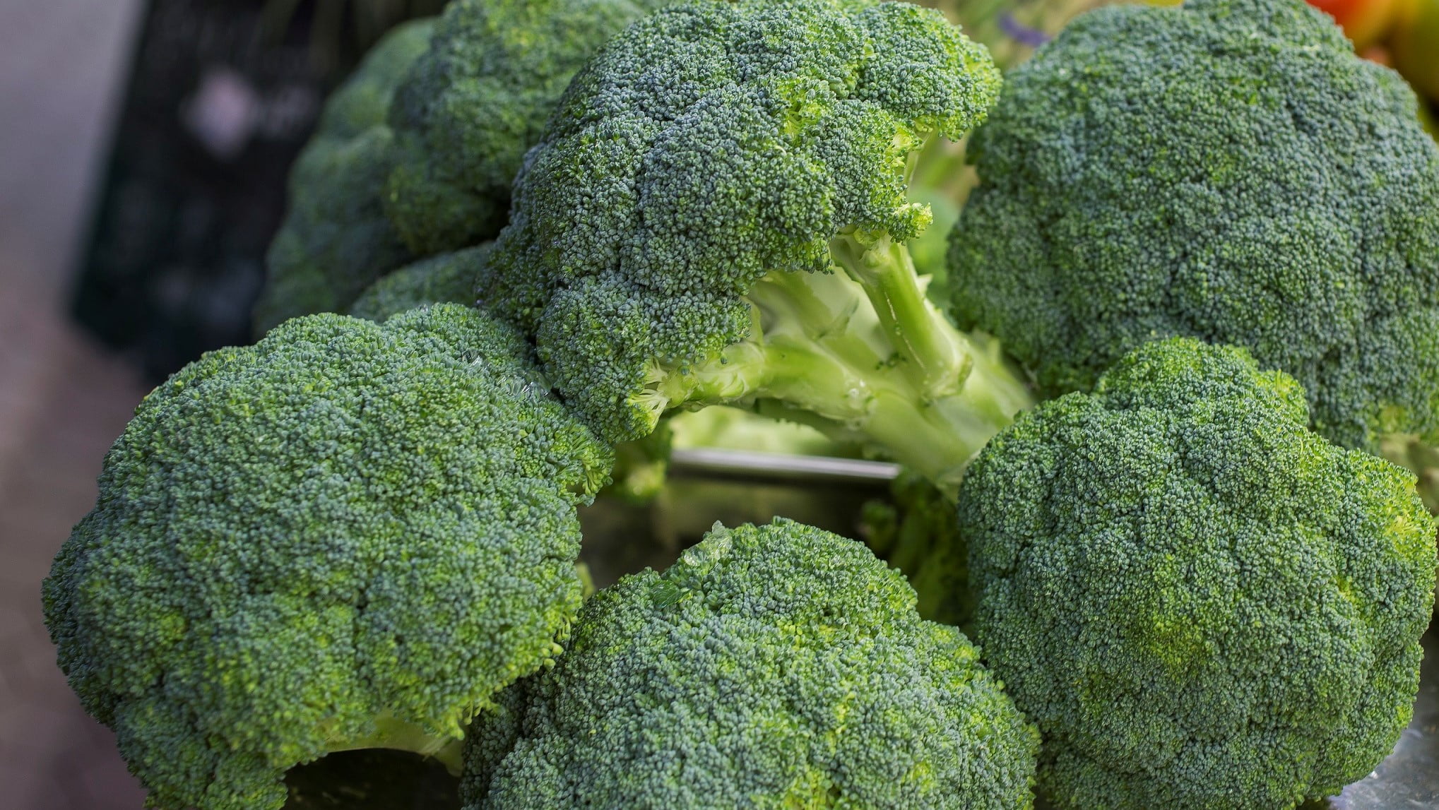 Brotes de brócoli y propiedades saludables