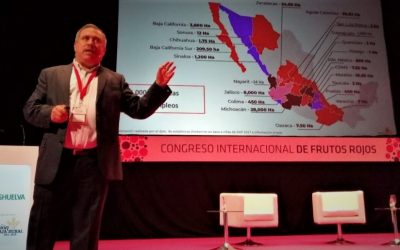 Berries de México: seguridad alimentaria e internacionalización
