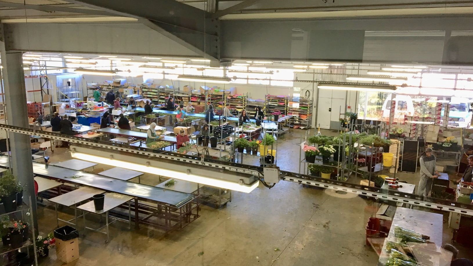 El Grupo Anecoop se diversifica en Francia con Floren´Sud