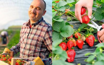Asociación mexicana de exportadores de berries en su congreso