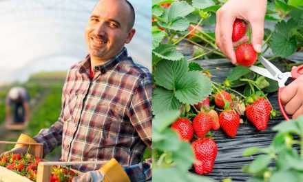Asociación mexicana de exportadores de berries en su congreso