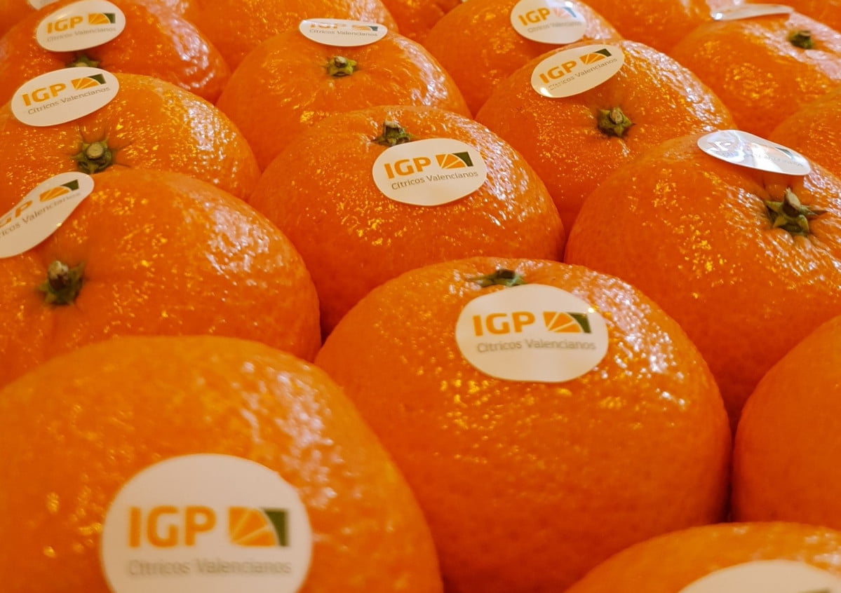 Los cítricos distribuidos con la figura de calidad de la IGP crecen un 25%