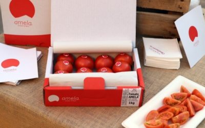El tomate gourmet de la Cooperativa La Palma en Fruit Attraction 2019