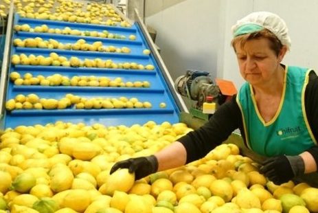 La empresa Toñifruit celebra en Fruit Attraction su Décimo Aniversario como firma referente en la producción y comercialización de cítricos en España.