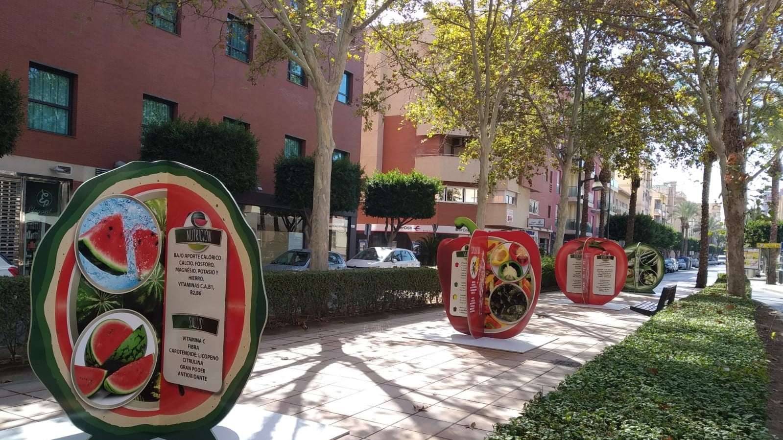 “La Huerta de Europa”, una asociación de Almería para la promoción de hortalizas