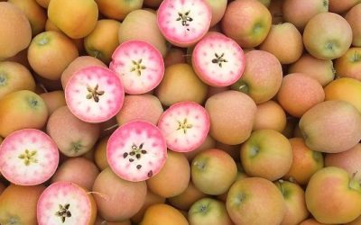 Las manzanas Kissabel vuelven a Fruit Attraction