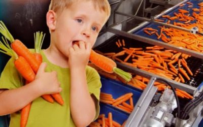 Cómo hacer que los niños coman verduras y hortalizas