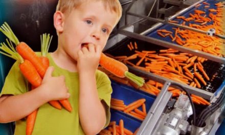 Cómo hacer que los niños coman verduras y hortalizas
