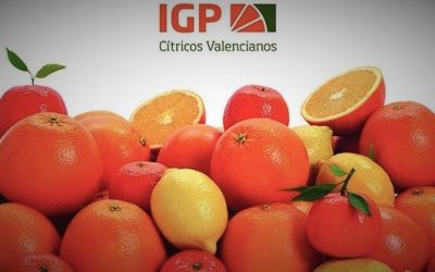 Impulsan la sostenibilidad en la citricultura valenciana