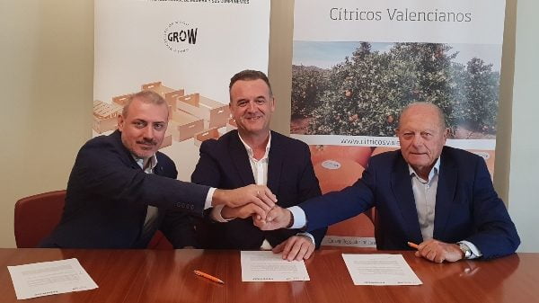 Impulsan la sostenibilidad en la citricultura valenciana