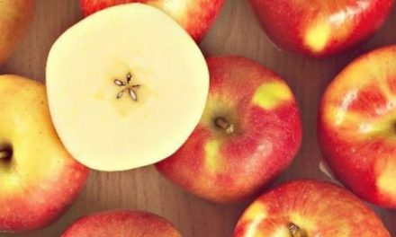 Fruit Attraction: Manzanas Val Venosta presenta en una nueva etapa