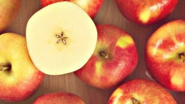 Fruit Attraction: Manzanas Val Venosta presenta en una nueva etapa