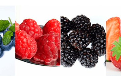 ANEBERRIES promueve las berries de México en Fruit Attraction