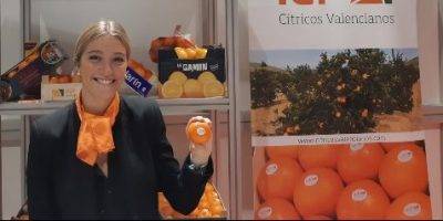 Vitrina para aliar citricultura valenciana con la gastronomía mediterránea
