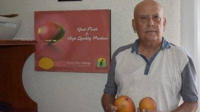 Nombran presidente de la Asociación de Exportadores de Mangos de México