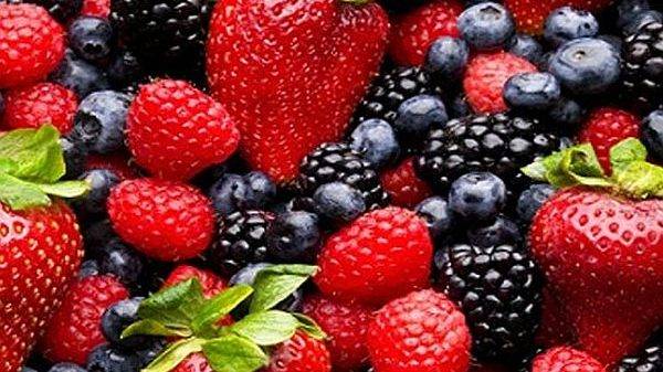 ANEBERRIES asistirá a Fruit Logistica e impulsará las berries de México