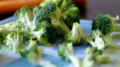 Investigan soluciones médicas en los compuestos bioactivos del brócoli