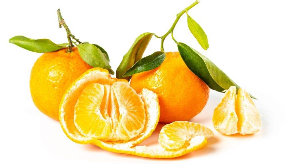 Los beneficios de la mandarina hacen aumentar su exportación