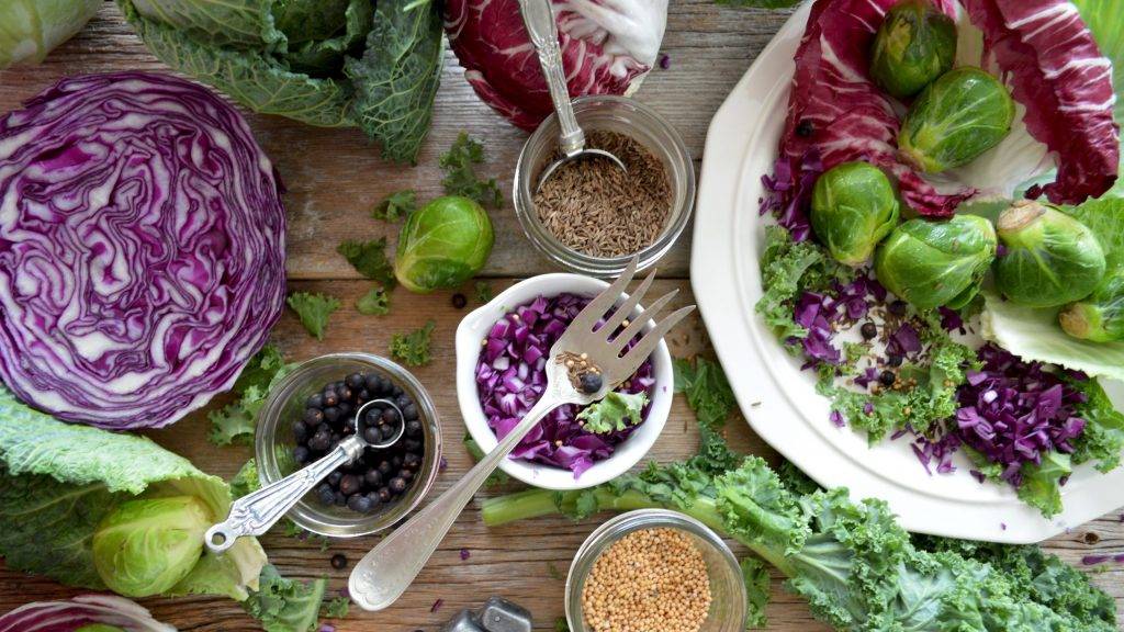 Interesan las innovaciones en la industria hortícola