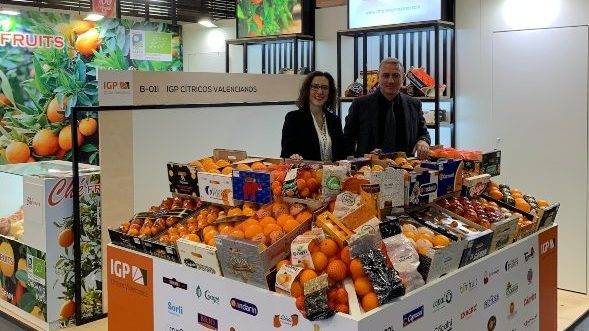 Crece el interés en la Europa tradicional por los Cítricos Valencianos