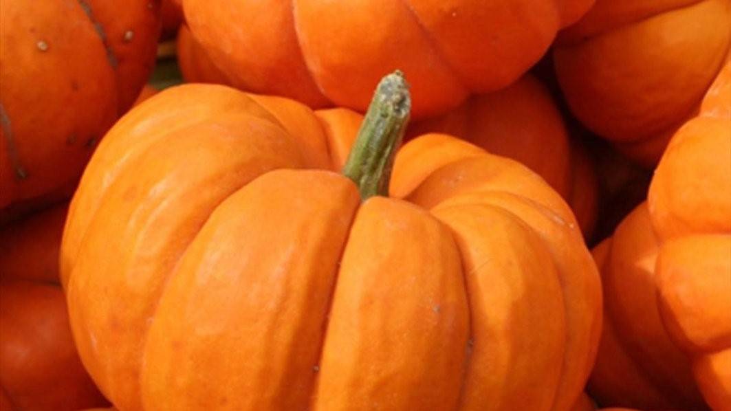 Why pumpkin is orange in color?