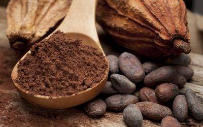 El cacao natural, un aliado saludable en tiempos de confinamiento