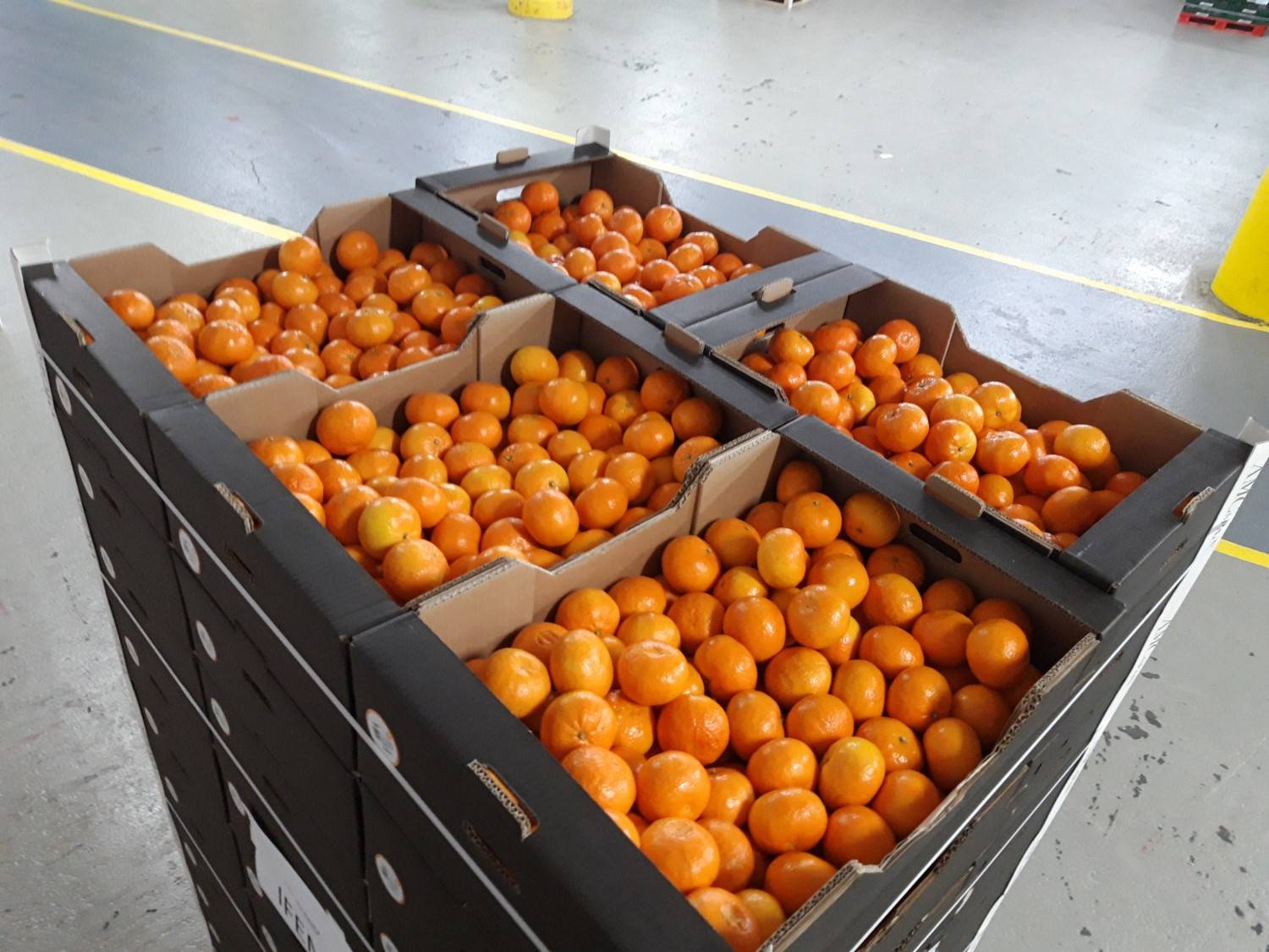 La asociación mandarina Orri dona 1.000 kilos de fruta al hospital de IFEMA