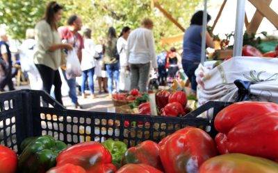 En Galicia acercan frutas y hortalizas a los consumidores con Mercaproximidade