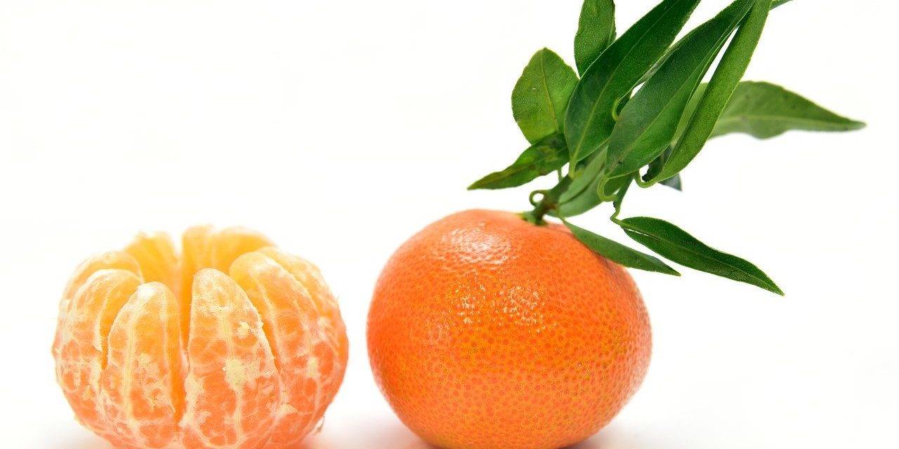 La mandarina Orri incrementa un 15 por ciento sus ventas