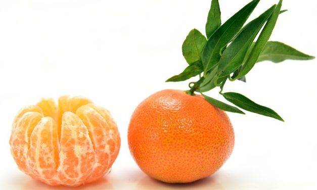 La mandarina Orri incrementa un 15 por ciento sus ventas