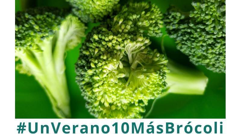 Cada español en 2020 consumirá 2 kilos de brócoli frente a los 200 gramos de 2010