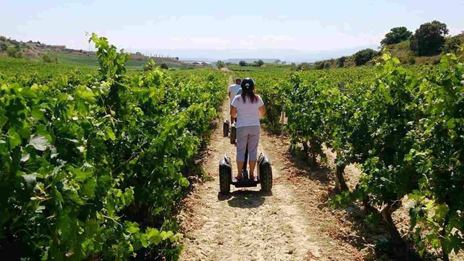 Las semillas de uva contienen taninos de interés