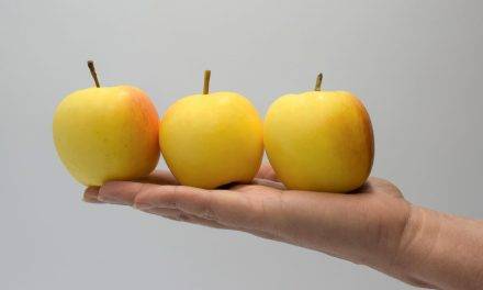 Snacking Project, destinado a desarrollar el mercado de las manzanas de calibre pequeño