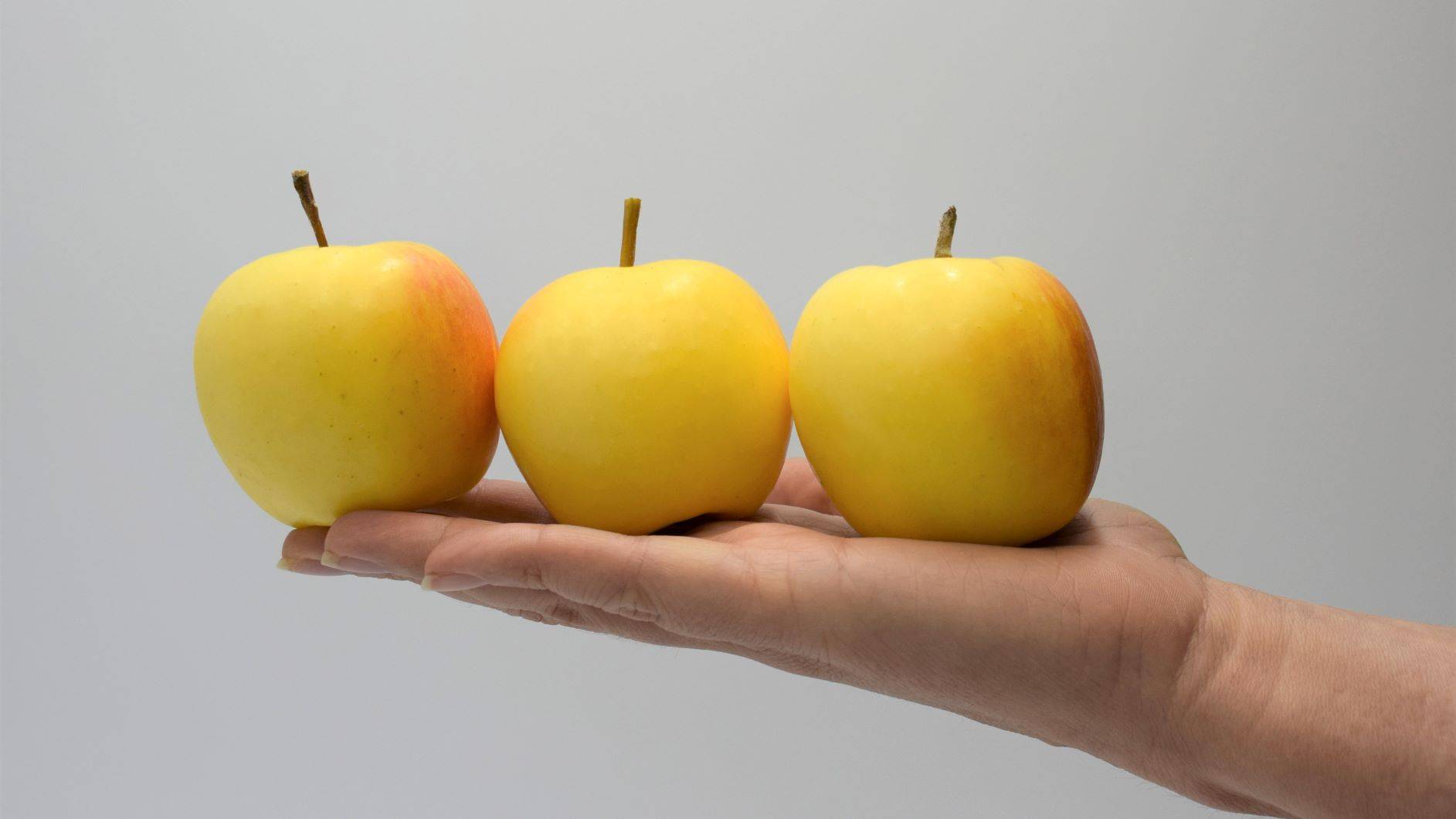Snacking Project, destinado a desarrollar el mercado de las manzanas de calibre pequeño
