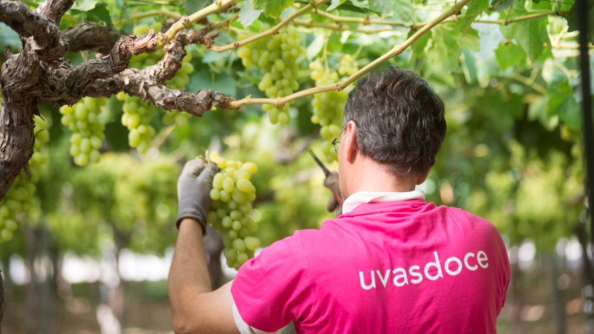 Las chuches de UvasDoce