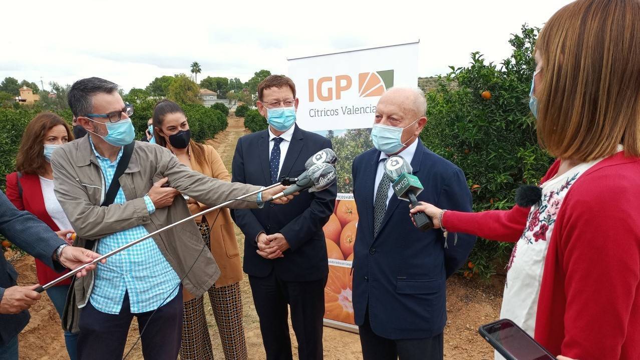 El Primer Corte de la Naranja Valenciana anima a consumir cítricos