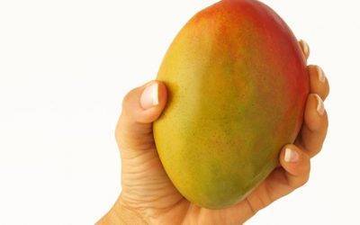 La National Mango Board recibe el Premio “Produce Business Excellence Award”