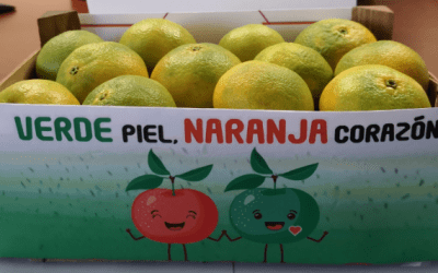 “Verde piel, naranja corazón” Alcampo incorpora mandarinas con piel verde de primera temporada