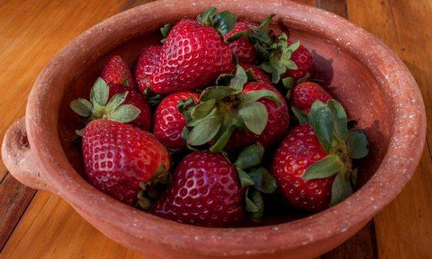Frutillas o fresas: una fruta muy apreciada en Argentina