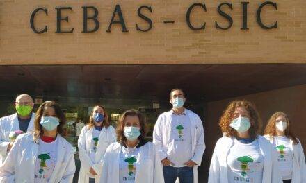 Alianza entre la asociación +Brócoli con el CEBAS-CSIC de Murcia