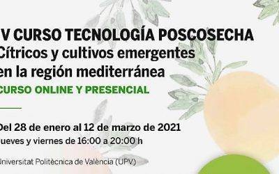 Inscripciones abiertas al IV Curso Tecnología Poscosecha – Cítricos y cultivos emergentes en la región mediterránea