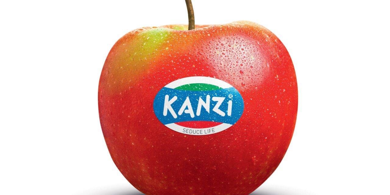 KANZI®, volúmenes y calidad máximos tienen una excelente acogida